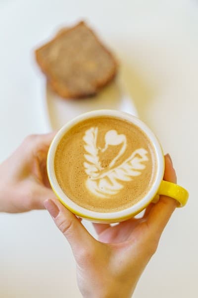 Boiler x Guido coffee