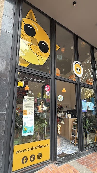 CatCoffee - Café de Especialidad coffee