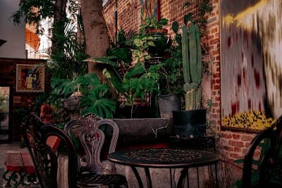 Interior of Noviciado CoffeeShop in Madrid