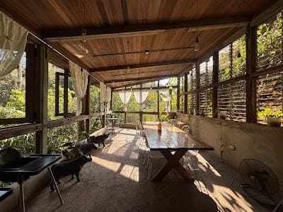 Interior of Burrow Cafe PH Taytay in Rizal