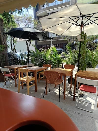 Interior of Olivia Café de Barrio in CDMX