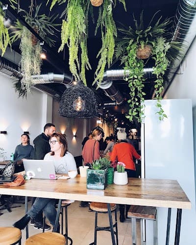 Interior of Green Gorilla Café in Lausanne