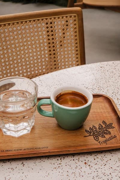 Tropicalia Coffee atmosphere