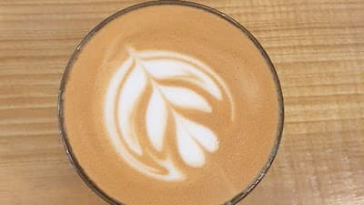 Anvil Café de especialidad coffee