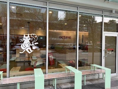 Octave Cafe atmosphere