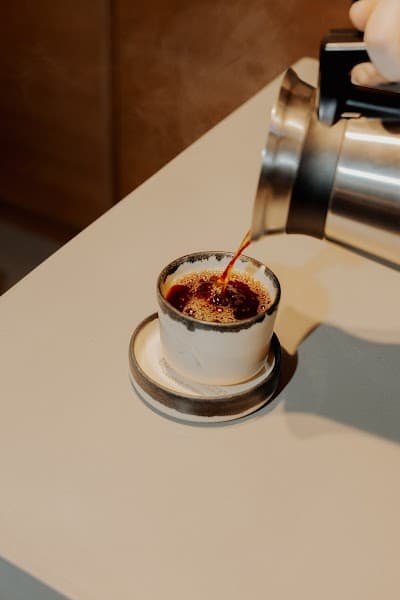 Blackbird Coffee Corner - Balmes coffee