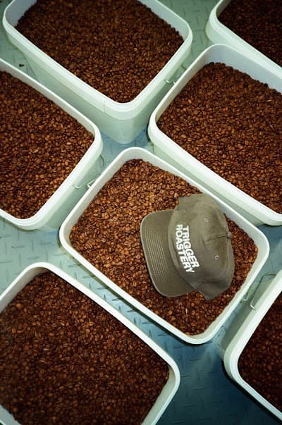 Interior of TRIGGER Roastery in 02-255 Warszawa