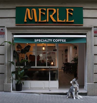 Interior of Merle Coffee in Barcelona