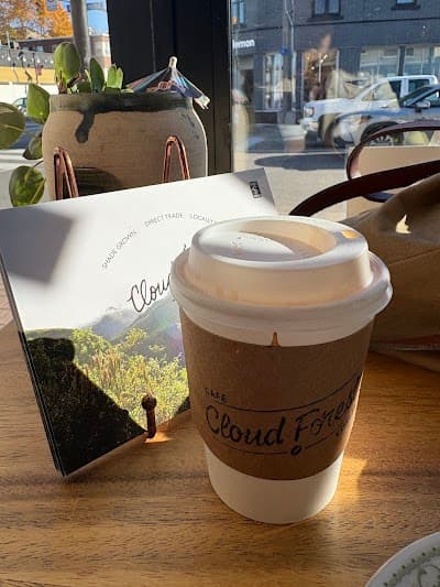 Cloudforest Coffee atmosphere