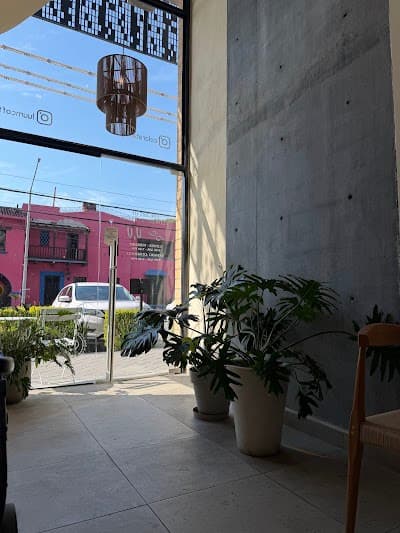 Interior of Lu’um Coffee Shop in N.L.