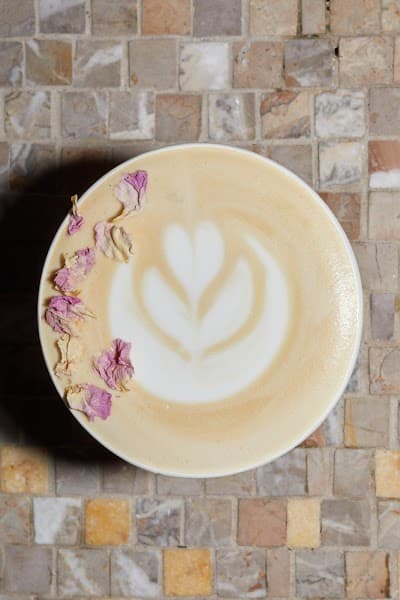 Café Nuances - Vendôme coffee