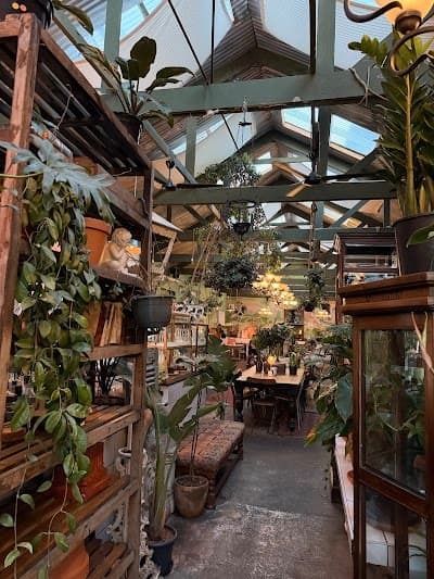 Our Local Kloof Street coffee