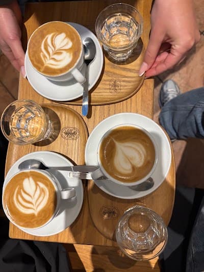 roca junior - artisan coffee atmosphere