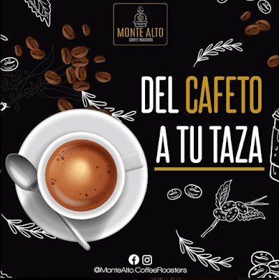 Café Monte Alto – Café de especialidad en Monterrey coffee