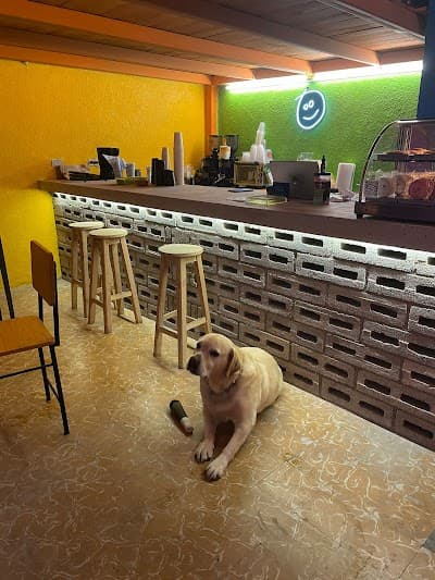 Interior of Mi Amigo Café in Pue.
