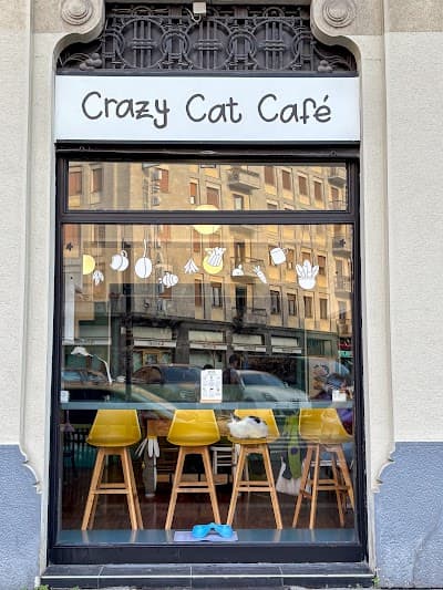 Interior of Crazy Cat Café in Milano MI