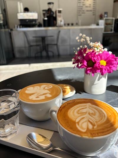 Singular Coffee Roasters Suecia coffee