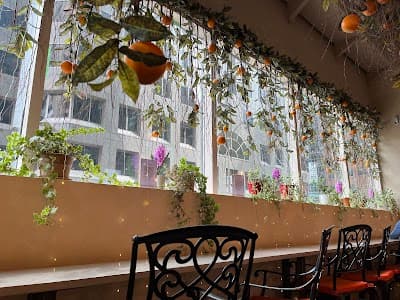 SoLIT Café atmosphere
