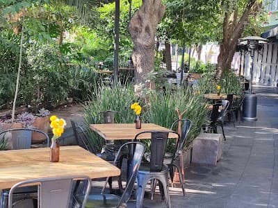 Interior of The Ventanita Cafe in CDMX