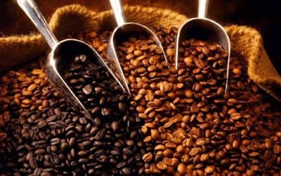 Café El Chavalete coffee