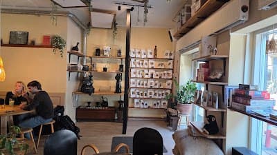 Impact Roasters coffee