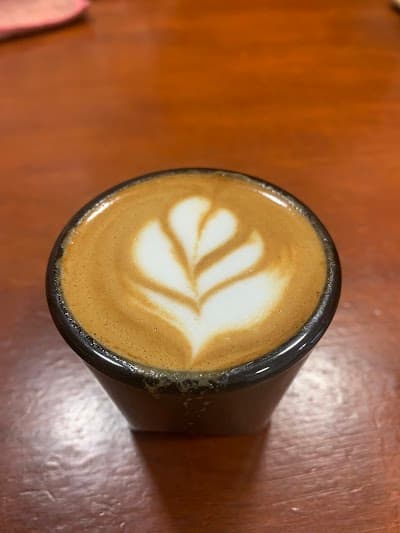 Typica Specialty Coffee atmosphere