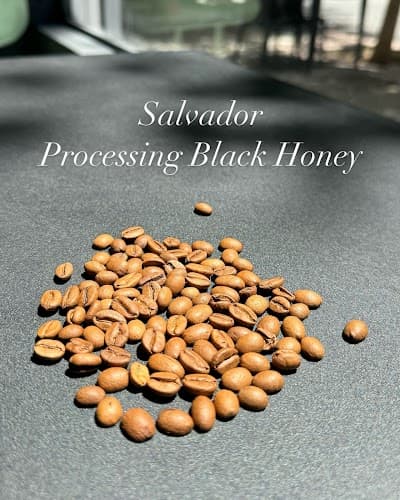 Nuevo Specialty Coffee coffee