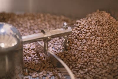 Interior of Olisipo Coffee Roasters in -167 Lisboa