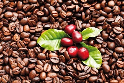 Capital Coffee Roasters GmbH atmosphere